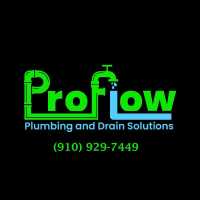 ProFlow Plumbing and Drain Solutions Logo