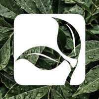 The Gardener's Choice & Randy Brown Landscape Logo