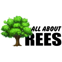 All About Trees, LLC Logo