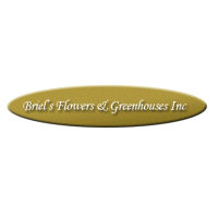 Briel's Flowers & Greenhouse Logo