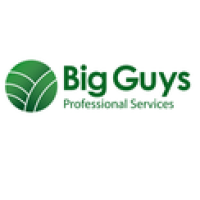 Big Guys Professional Services Logo
