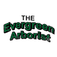 Evergreen Arborist Logo