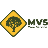 MVS Tree Service Logo