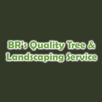 BR's Quality Tree Service Englewood Logo