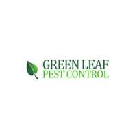 Green Leaf Pest Control Logo