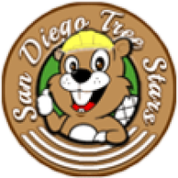 San Diego Tree Stars Logo