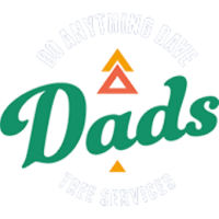 Do Anything Dave Services Logo