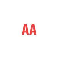 ANW Automotive LLC Logo