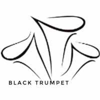 Black Trumpet Logo