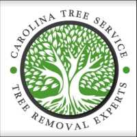 Carolina Tree Service Logo