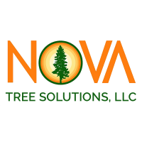 Nova Tree Solutions, LLC Logo