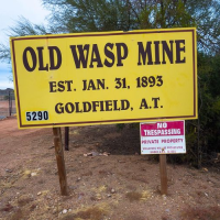 The Old Wasp Mine Logo