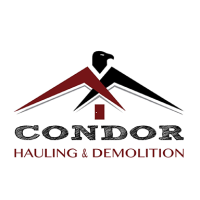 Condor Hauling & Demolition Logo