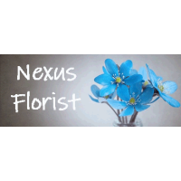 Nexus Miami Logo