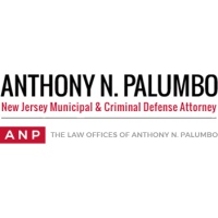 The Law Offices of Anthony N. Palumbo Logo