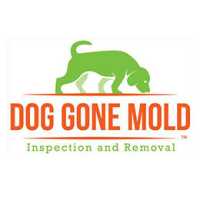 Dog Gone Mold Logo