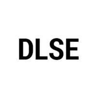 DLS Enterprises LLC Logo