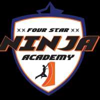 Four Star Ninja Academy Logo