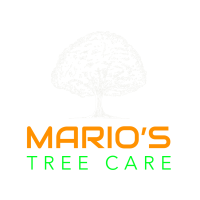 Marioâ€™s Tree Care Logo