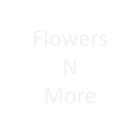 Flowers N More Logo