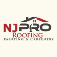 NJ PRO Roofing & Painting Logo