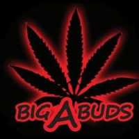 Big A Buds Durant Logo