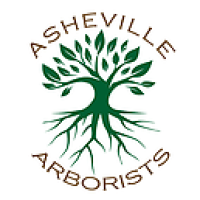 Asheville Arborists Logo