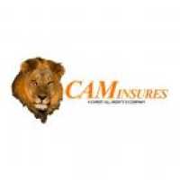 CAMInsures Logo