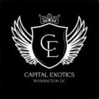 Capital Exotic | Exotic Car Rental Service Logo