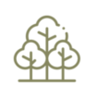 Thomas and Sons Tree & Mulch Logo