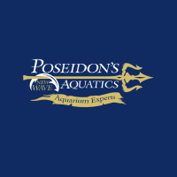 Poseidon's New Wave Aquatics Logo