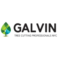 Galvin Tree Cutting Logo