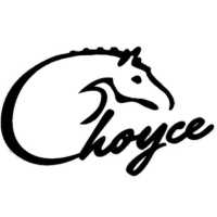 Choyce Party Ponies, Clown & Bounce Logo
