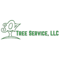 307 Tree Service LLC Logo