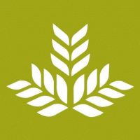 Georgia Heart Institute Logo