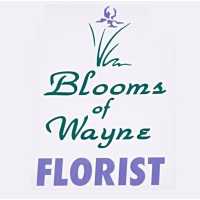Blooms Of Wayne Logo