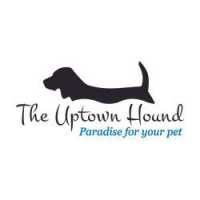 The Uptown Hound Dog Day Play, Resort & Ranch Logo