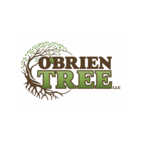 O'Brien Tree Logo