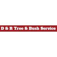 D and R Tree and Bush Service Springfield Logo