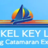 Quicksilver Catamaran Logo