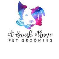 A Brush Above Pet Grooming, LLC Possible Same Day Appointments Logo