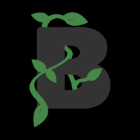 Beanstalk Web Solutions Logo