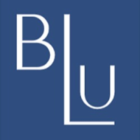 Blu on the Hudson Logo