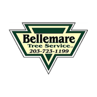 Bellemare Tree Service LLC Logo