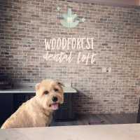 Woodforest Dental Loft Logo