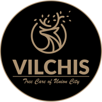 Vilchis Tree Care of Union City Logo