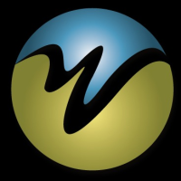 WebWize Logo