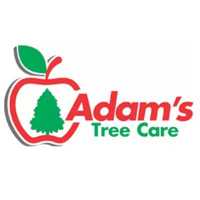 Adam's Tree Care Logo