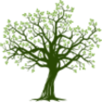 Jime's Tree Service Logo
