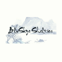 Bluskye Shelties Logo